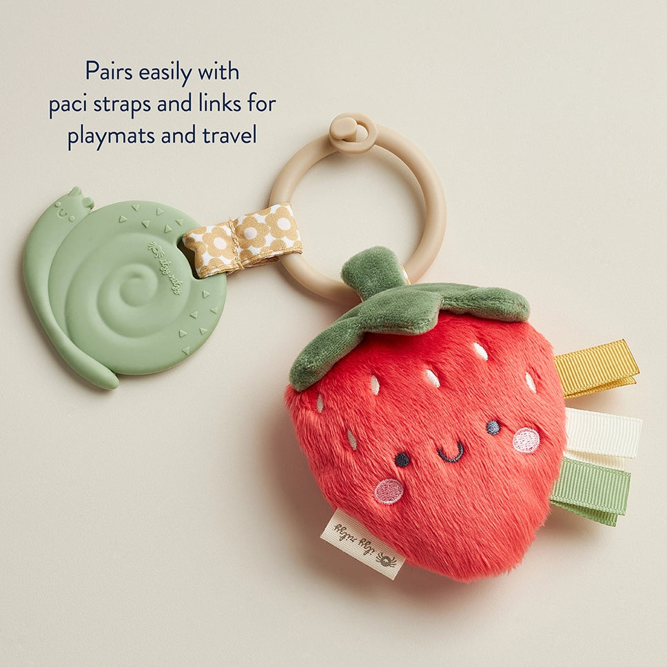 Itzy Ritzy Pal Plush + Teether