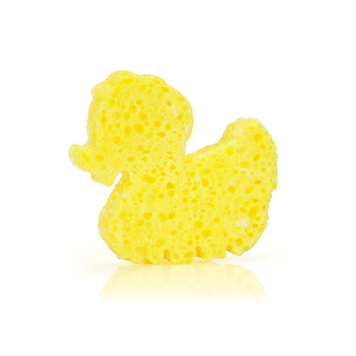 Sponge Animals