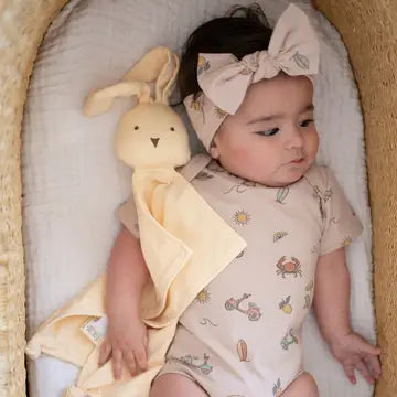 Organic Cotton Bunny Lovey