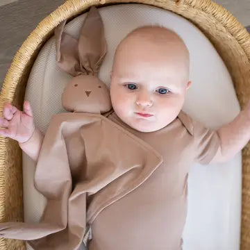 Organic Cotton Bunny Lovey