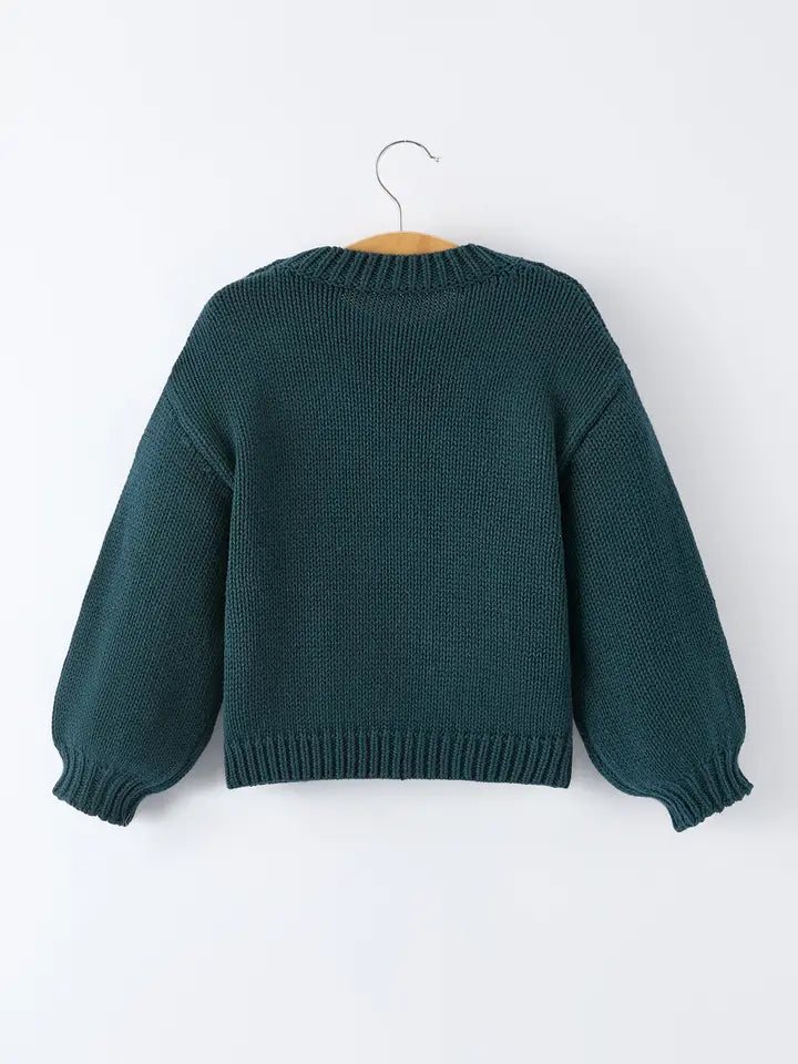Infant & Toddler Girls Flower Embroidered Long Sleeve Knit Sweater