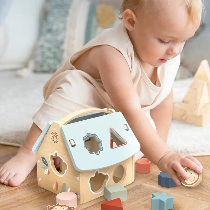 Kids House Shape Playtime Sorter