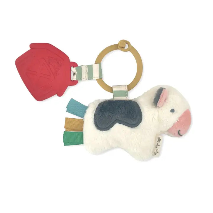 Itzy Ritzy Pal Plush + Teether