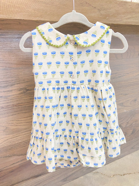 Infant Peter Pan Collar Floral Flare Dress + Bloomer