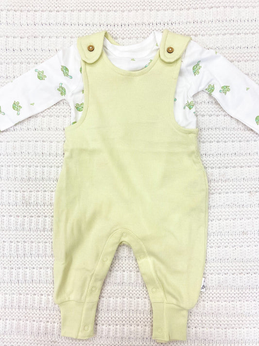 Infant Boys Tortoise Jumpsuit & Bodysuit Set