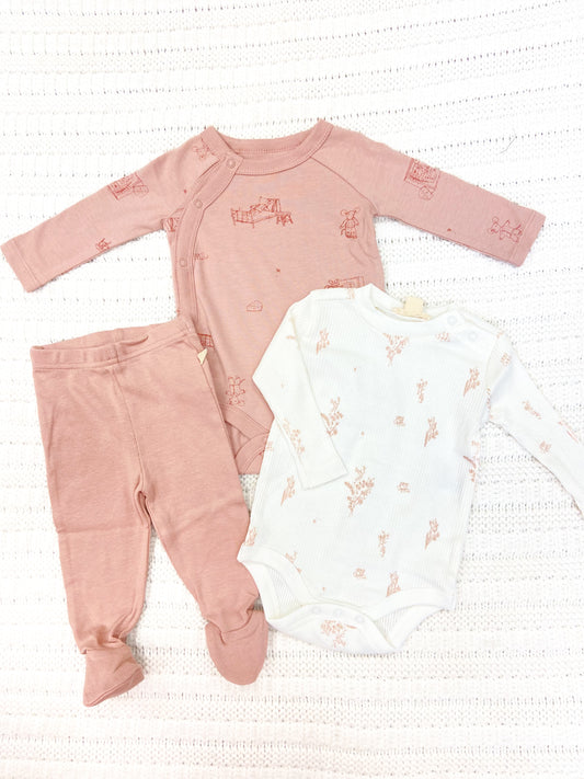 Infant Girls Wildflower 3 Piece Bodysuit & Pant Set