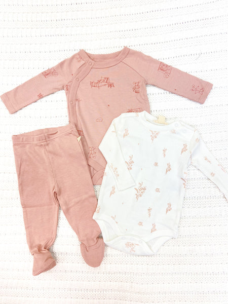 Infant Girls Wildflower 3 Piece Bodysuit & Pant Set