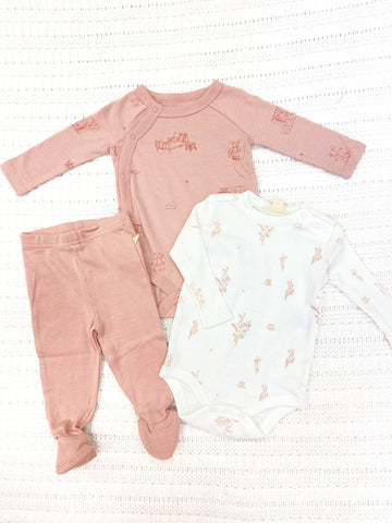 Infant Girls Wildflower 3 Piece Bodysuit & Pant Set