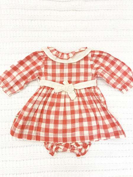 Infant Girls Gingham Dress & Bloomer Set