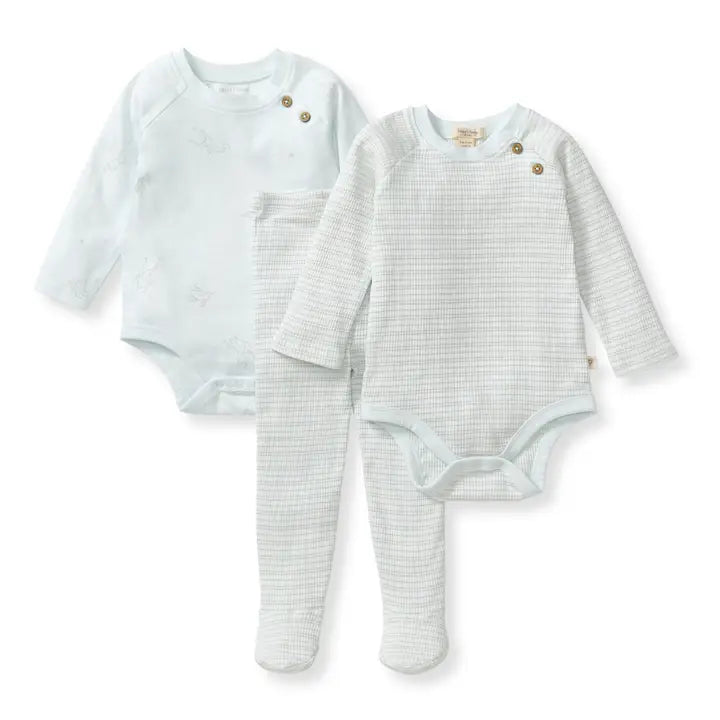 Infant Boy Frog Three Piece Bodysuit and Pants Set