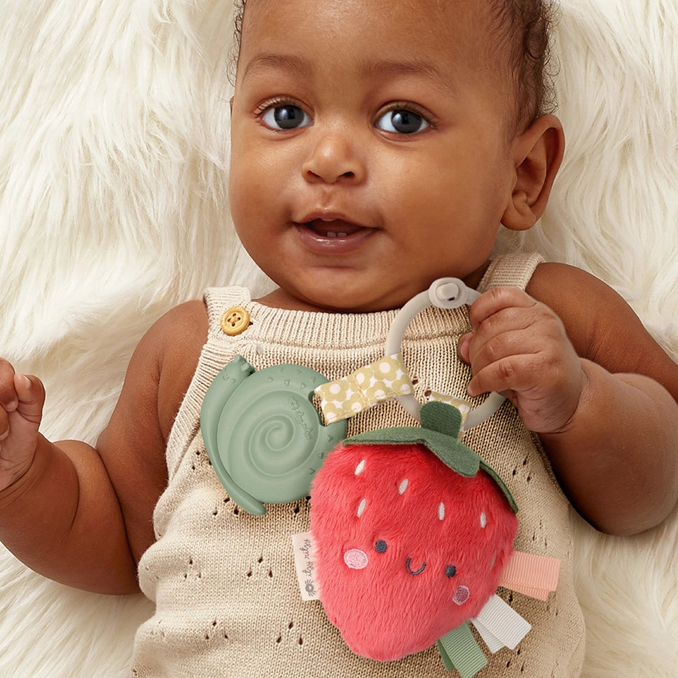 Itzy Ritzy Pal Plush + Teether