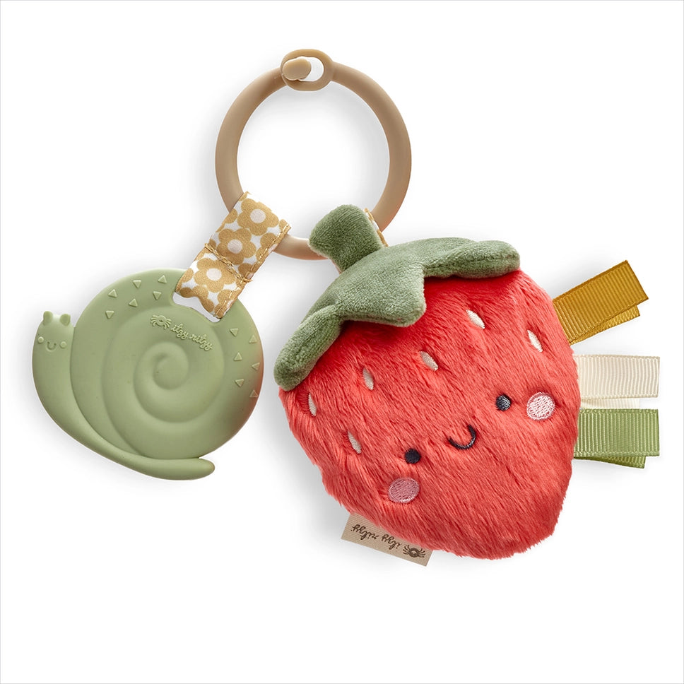 Itzy Ritzy Pal Plush + Teether