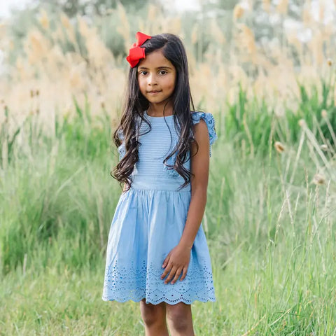 Toddler Girls Flutter Sleeve Dress