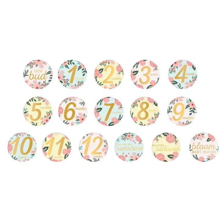 Baby's Memory Book and Sticker Set