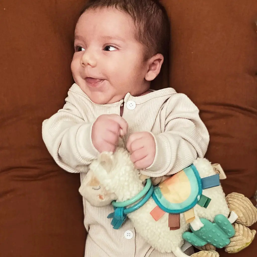 Itzy Ritzy Friends Link & Love Activity Plush with Teether Toy